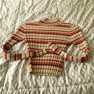 Lightly Used Striped Turtleneck